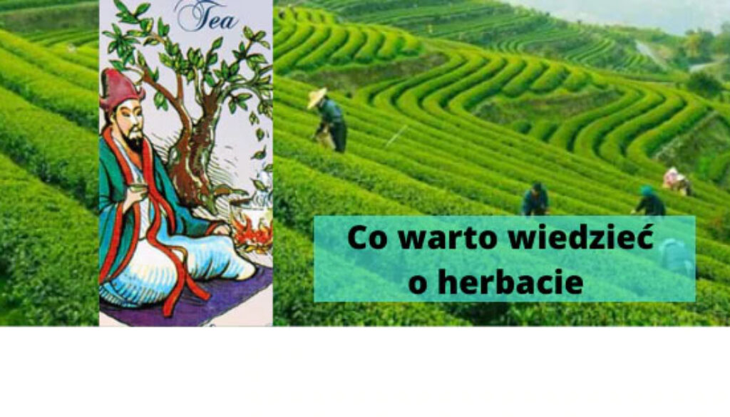 emotea_blog_Co_wiesz_o_herbacie
