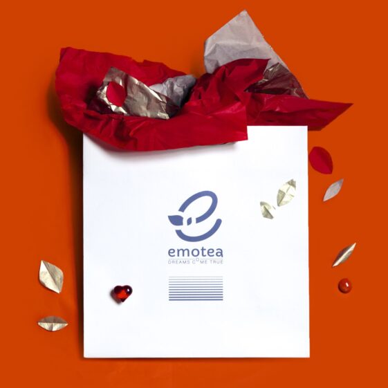 Opakowanie na prezent eleganckie L